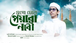 ওগো মোর পেয়ারা নাবী  Ogo Mor Peyara Nabi [upl. by Chipman]