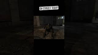 ОН ОЖИВЛЯЕТ МЕРТВЫХ сталкер shorts stalker [upl. by Celestia374]