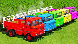 TRANSPORTING amp MANURE SPREADING WITH MINI COLORED TRUCKS  Farming Simulator 22 [upl. by Lleumas]