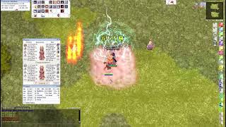 IRO Chaos Elemental Master DMG Test Forbidden Grimmoire VS Ancient Prontera Book [upl. by Rafaelia]