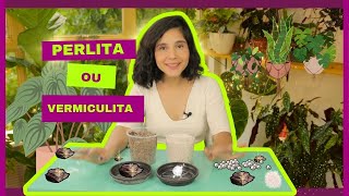 Qual é melhor para as plantas  PERLITA ou VERMICULITA [upl. by Enalahs]