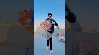 FLY A DOUBLE KITE 🪁 vaibhavsainivlogs kiteflying kitelover shorts [upl. by Ahsenre]