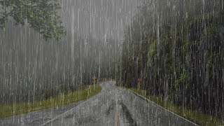 Lluvia Relajante Para Dormir en 2 Minutos  Ruido de Lluvia y Truenos en el Bosque Brumoso  ASMR [upl. by Nylinej]