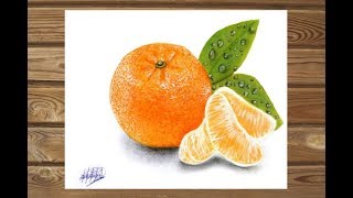 Dibujo realista de una mandarina  HD Realistic drawing of mandarin [upl. by Yar97]