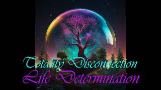 Life Determination Total Life Control Personal Experience Personal Plot Totality Disconnection [upl. by Nahtanoy]