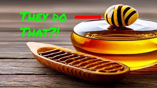 Why do Bees Make Honey [upl. by Casar]