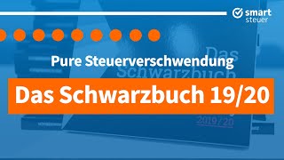 Zum Kopfschütteln Pure Steuerverschwendung 2020  Steuerschwarzbuch 2020 [upl. by Ettennej]