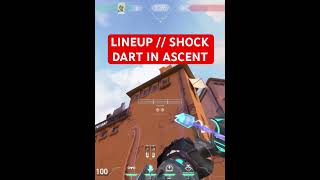 LINEUP  SOVA SHOCK DART IN ALL OVER ASCENT valora valorant valoranatgame riotgame sovalineup [upl. by Engedi]