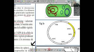 svtle genie genetique le transfert naturel des genes [upl. by Esirahs394]