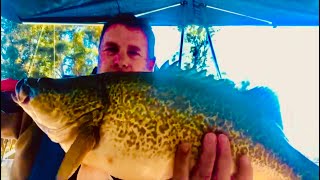 Murray Cod fishing on the Goulburn River with good blokes [upl. by Larsen720]