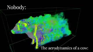 The aerodynamics of a cow [upl. by Salokin]