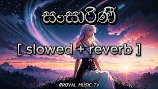 SANSARINI  SINHALA SONG  slowed  reverb  viralvideo foryou music [upl. by Eudo105]