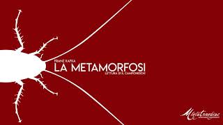 La Metamorfosi F Kafka  Audiolibro Integrale [upl. by Nalehp414]