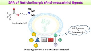 Anti Cholinergic Agents Anti Muscarinic SAR [upl. by Ernaldus368]