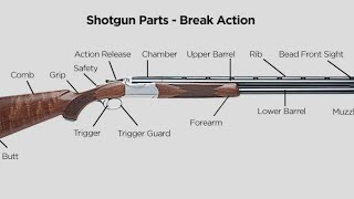 Assembly of a BreakAction Shotgun Beretta 686 Silver Pigeon Sporting By  Rami Bajwa [upl. by Ardnikal933]