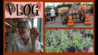 VLOG VEGAN DONUTS amp SHOPPING FOR PLANTS DR DRAY [upl. by Domeniga]