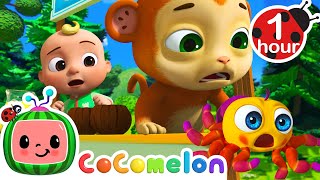 Itsy Bitsy Spider  CoComelon JJs Animal Time  Animal Songs for Kids [upl. by Seuqirdor13]