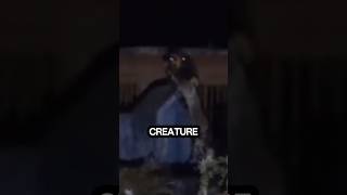 Man Finds Unknown Creature Following Him scary [upl. by Ayhtin691]