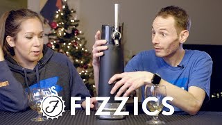 Fizzics Draft Pour System Review [upl. by Ahsienal]