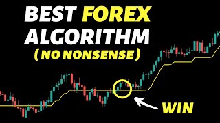 I Tested No Nonsense Forex Algorithm 100 Times  100 Winning [upl. by Bunni297]