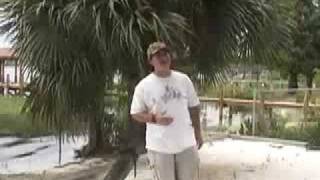 quotFlorida Boyquot Music Video [upl. by Vevine]