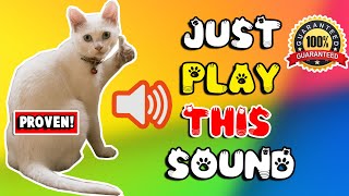 Mother cat calling for her kittens sound effect ⭐ mom cat sounds to attract cats [upl. by Jock]