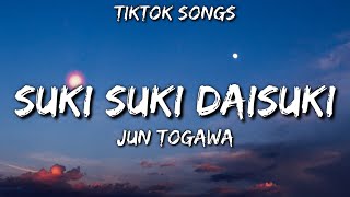 Jun Togawa  suki suki daisuki TikTok Songs Lyrics quotsuki suki daisuki TikTok Songsquot [upl. by Blockus301]