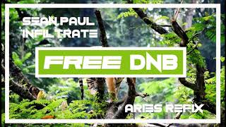 Sean Paul  Infiltrate  Aries Refix Free Dnb Download [upl. by Ardnassak]