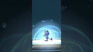 Shiny Alolan Meowth evolves into persian pokémon pokemongo [upl. by Rozina]