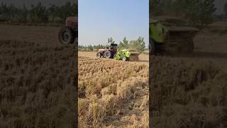 Paddy straw chopper chopper tractor village trending viralvideo officialroyallife top share [upl. by Nwahsar]