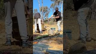 No discrimination when it comes to GOLD goldrush goldpanning mining outback australia nuggets [upl. by Sherj]