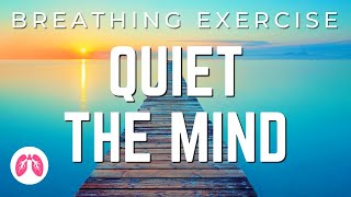 Breathing Exercises with Guided Meditation  5 Minutes  TAKE A DEEP BREATH [upl. by Ollehto]