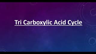 Introduction to TCA Cycle [upl. by Adaha]