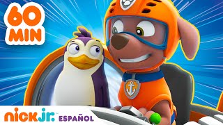 Paw Patrol  ¡1 HORA de grandes rescates animales  Nick Jr en Español [upl. by Adnesor]