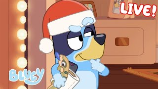 🔴LIVE Its a Bluey Christmas  40 MINUTES  Bluey [upl. by Retsof949]