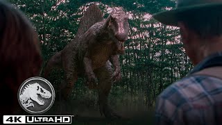 Jurassic Park 3  The Spinosaurus Chase in 4K HDR [upl. by Aya]