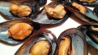 MEJILLONES AL VAPOR RECETA DE COCINA COCINA FACIL [upl. by Oryaj493]