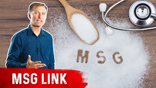 Chronic Pain and Monosodium Glutamate MSG [upl. by Lleznod]