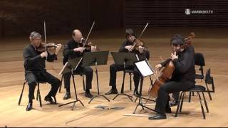 Franz Schubert String Quintet in C Major D 956 [upl. by Aivitnahs]