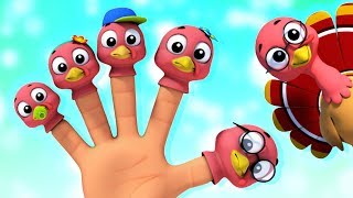 famille des doigts Turquie  doigt chanson famille  Turkey Finger Family  Finger Family Rhyme [upl. by Kentigerma]