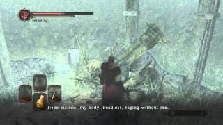 Dark Souls 2  Finding Vengarls Head AchievementTrophy [upl. by Dlonyer525]