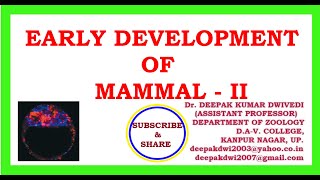 EARLY DEVELOPMENT OF MAMMAL PART  II [upl. by Getraer219]