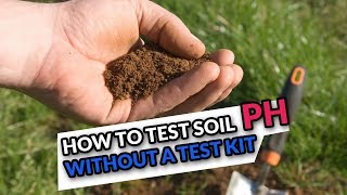 How to Test Soil pH without a Test Kit [upl. by Aneej]