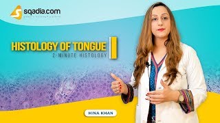 Histology of Tongue  Anatomy Video Lectures  Medical Education  VLearning [upl. by Fitton352]