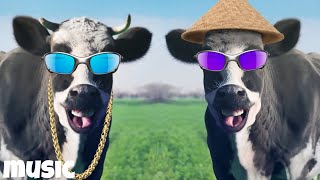 The Magical Color Cows dance funny video 1  Cow Song amp Cow Videos 2024  Cow dance mix  dance cow [upl. by Anaib9]