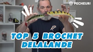 Top 5 brochet Delalande [upl. by Alak596]