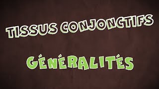 Le Tissu Conjonctif  Généralités [upl. by Einad]