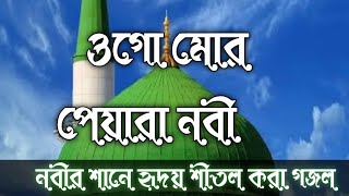 ogo mor pyara nabi gazal  ogo mor pyara nabi lyrics [upl. by Namar132]