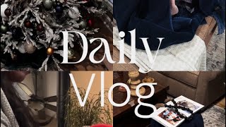 quotCozy Day at Home Laundry amp Holiday Decorquot dailyvlogs [upl. by Otreblanauj921]