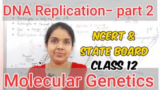 DNA Replication in Tamil part 2 Mechanism of DNA Replication Molecular Genetics Durga vinoth [upl. by Hannazus]